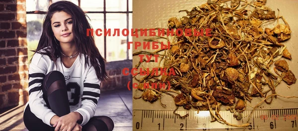 трава Беломорск