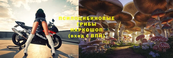 трава Беломорск